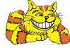 K-ZAP Cat
