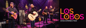 Los Lobos acoustic