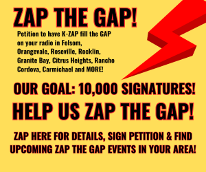 ZAP THE GAP DIGITAL AD